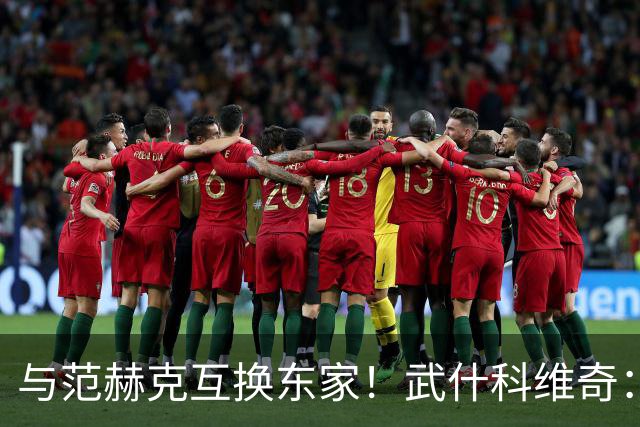与范赫克互换东家！武什科维奇：我也不知道为什么热刺不想要我了