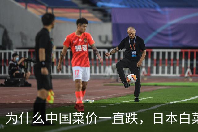 为什么中国菜价一直跌，日本白菜却涨到42元一棵？