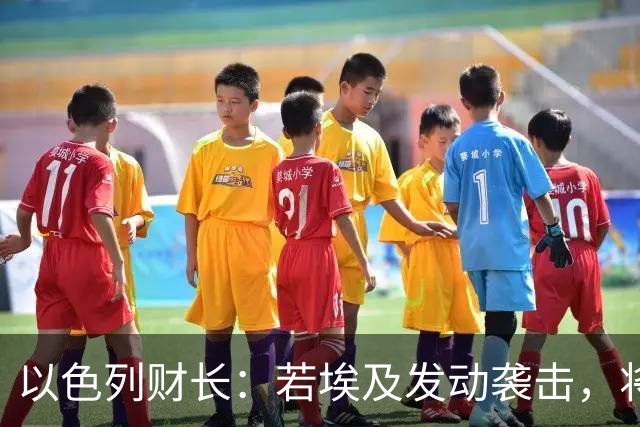 以色列财长：若埃及发动袭击，将失去西奈半岛，埃及方面回应