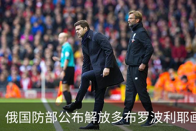 俄国防部公布解放多布罗波利耶画面