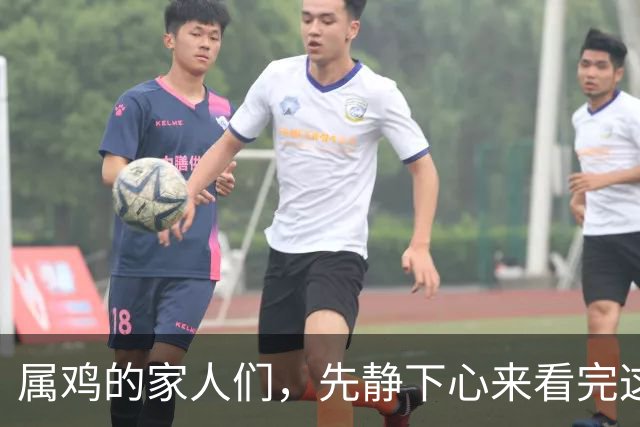 属鸡的家人们，先静下心来看完这篇属于你的专属福报文