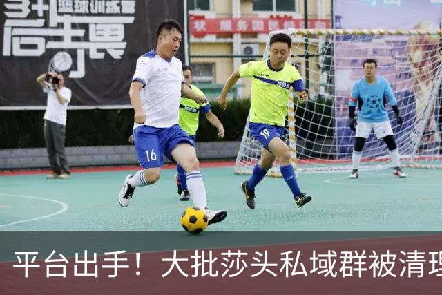 平台出手！大批莎头私域群被清理，饭圈乱象整治，全网纷纷叫好