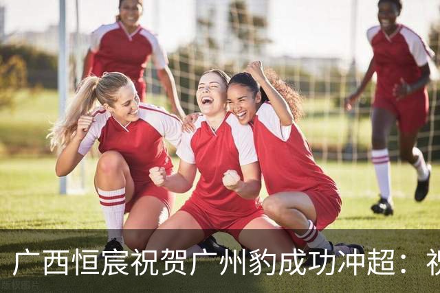 广西恒宸祝贺广州豹成功冲超：祝在中超舞台续写辉煌、再创佳绩
