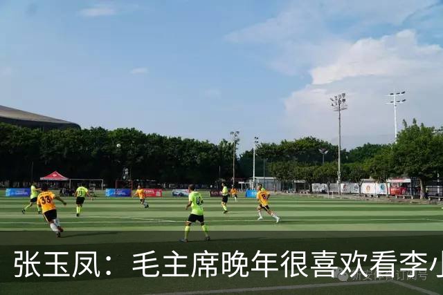 张玉凤：毛主席晚年很喜欢看李小龙的片子，尤其是《猛龙过江》