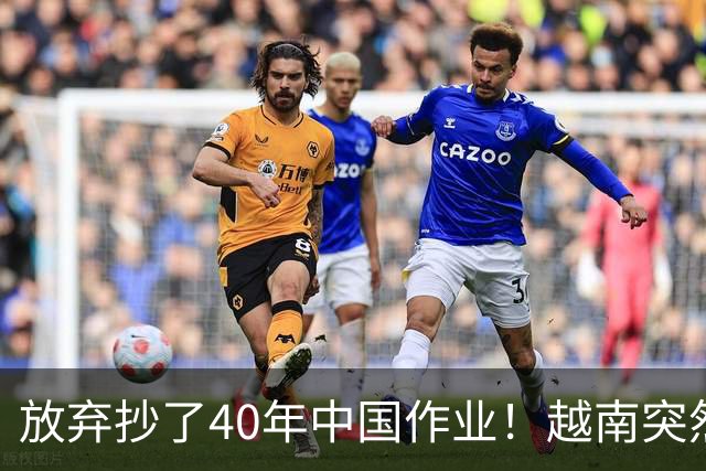 放弃抄了40年中国作业！越南突然掉头，跟韩国学起了豪赌财阀经济