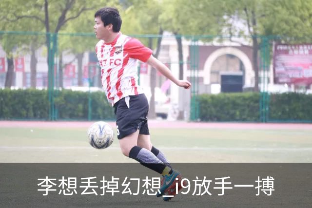 李想丢掉幻想 i9放手一搏