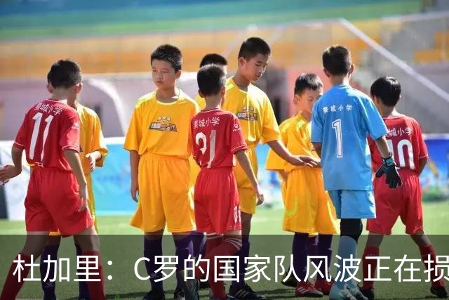 杜加里：C罗的国家队风波正在损害其形象