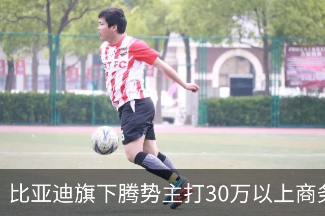 比亚迪旗下腾势主打30万以上商务，同门方程豹销量为何是它两倍多