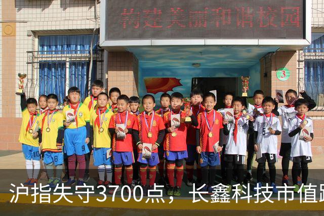 沪指失守3700点，长鑫科技市值跌破3万亿元！业绩预喜股，逆市走强！