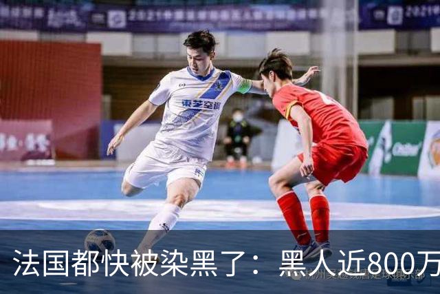 法国都快被染黑了：黑人近800万，巴黎的新生儿，黑皮肤近70%