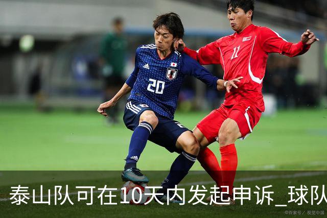 泰山队可在10天内发起申诉 球队人士也一头雾水