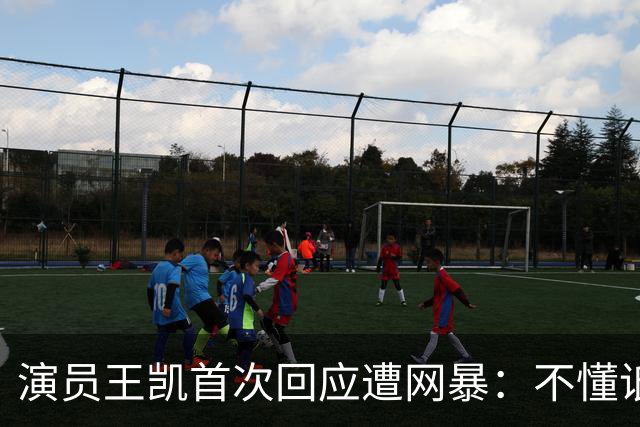 演员王凯首次回应遭网暴：不懂诋毁我的人图什么，有些谣言就纯恶心你，只能通过工作来分散注意力