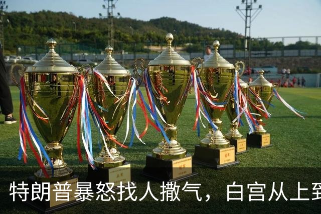 特朗普暴怒找人撒气，白宫从上到下都在挨骂，他知道自己必败无疑
