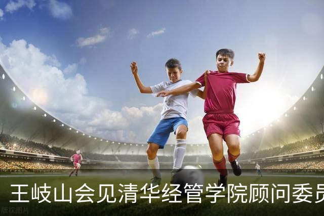 王岐山会见清华经管学院顾问委员会委员代表