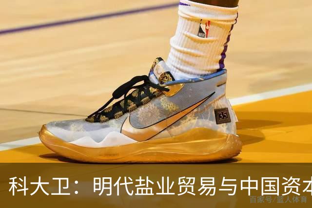 科大卫：明代盐业贸易与中国资本主义萌芽
