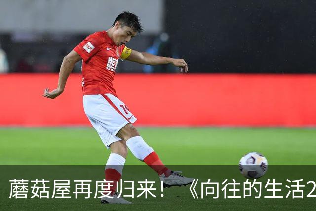 蘑菇屋再度归来！《向往的生活2027》来袭，没有黄磊该怎么看？
