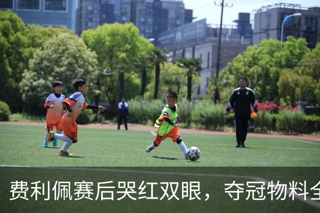 费利佩赛后哭红双眼，夺冠物料全部被撤下，成都蓉城要看泰山脸色