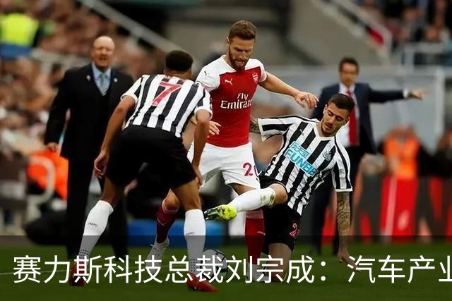 赛力斯科技总裁刘宗成：汽车产业最大的风险不是慢，而是“速成”