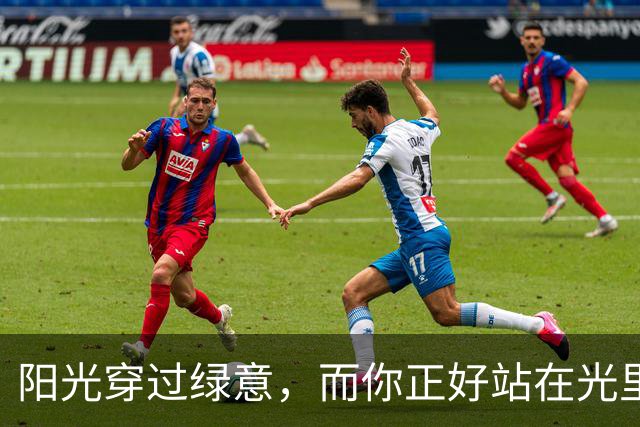阳光穿过绿意，而你正好站在光里