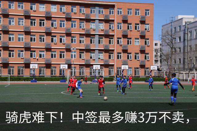 骑虎难下！中签最多赚3万不卖，高位连续加仓反被套倒亏4.6万，悔已晚