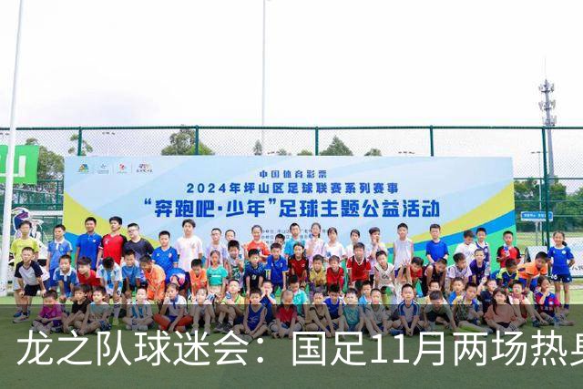 龙之队球迷会：国足11月两场热身易地，原广州站球票全额原路退款