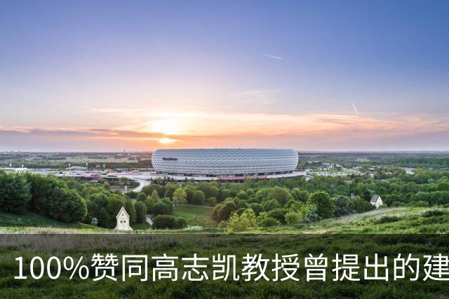 100%赞同高志凯教授曾提出的建议：大陆应该在台湾招募有志青年