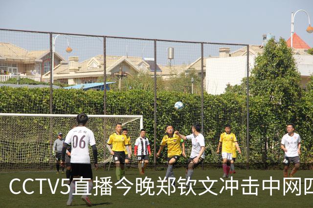 CCTV5直播今晚郑钦文冲击中网四强战决赛：真正难点不止是体能，赢了就能创历史